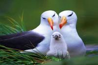 Bharatpur Bird Sanctuary Photo 4