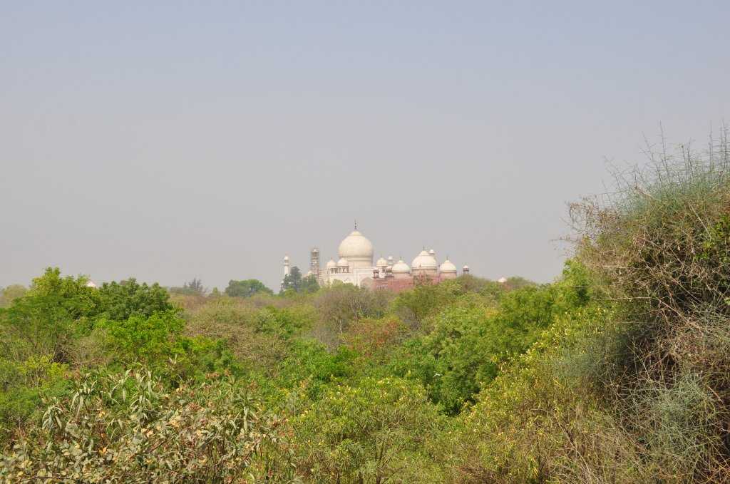 Taj Nature Walk Photo 4
