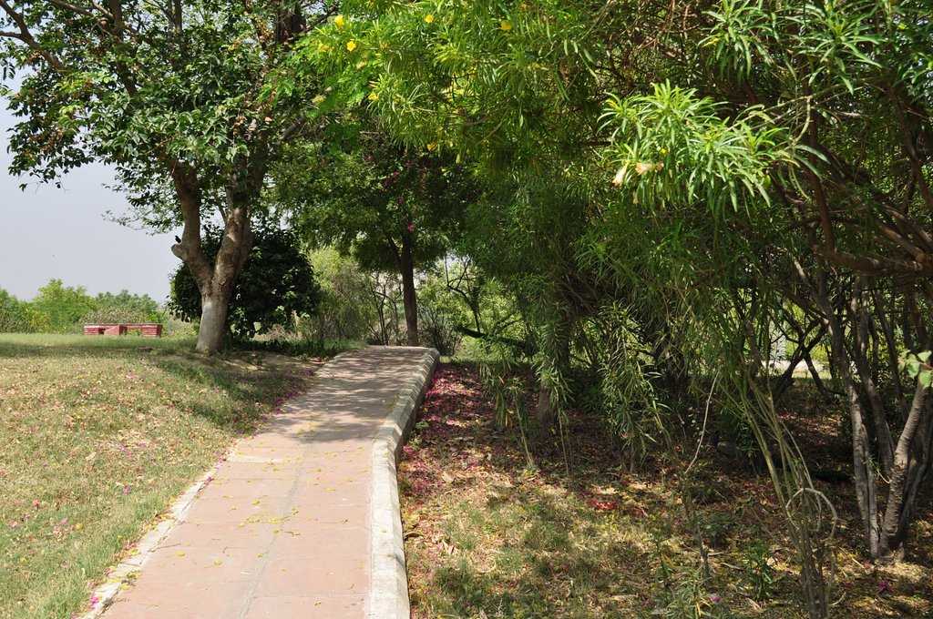 Taj Nature Walk Photo 5