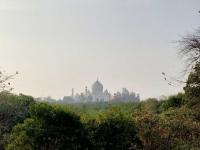 Taj Nature Walk Photo
