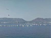 Ana Sagar Lake Photo 2