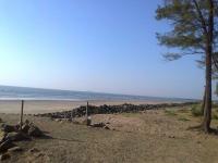 Alibag Beach Photo