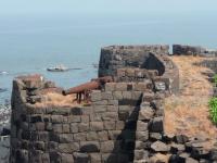 Undheri Fort Photo 2