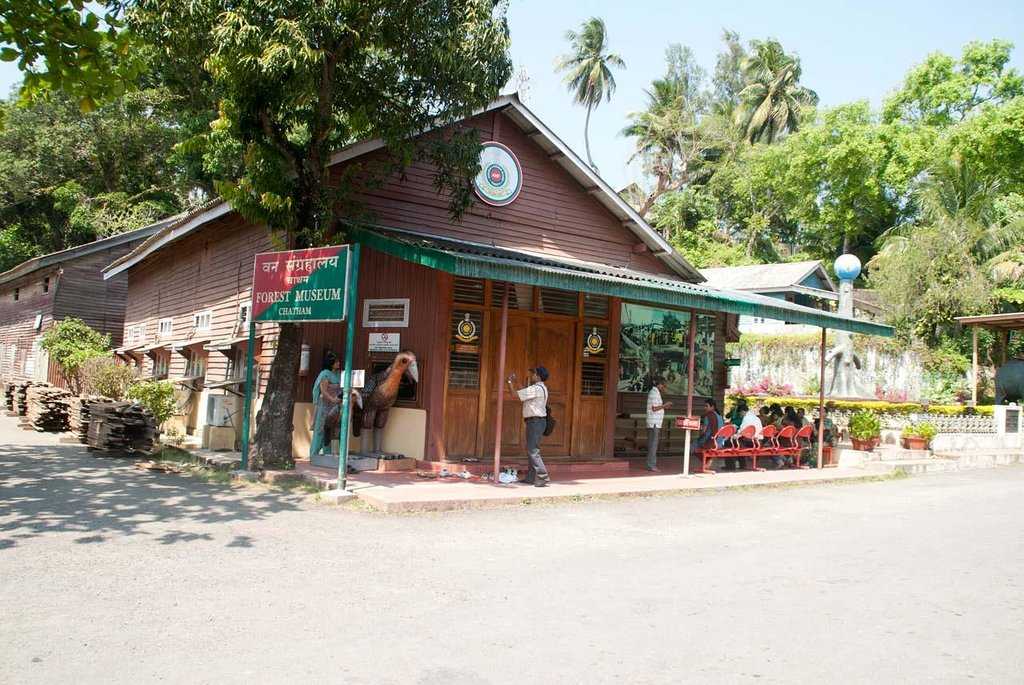 Chatham Saw Mill Photo 1