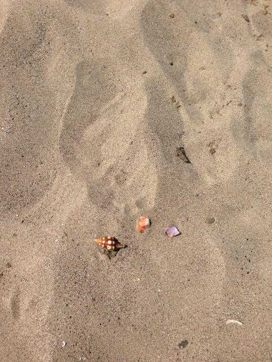 Diglipur Beach Photo 1