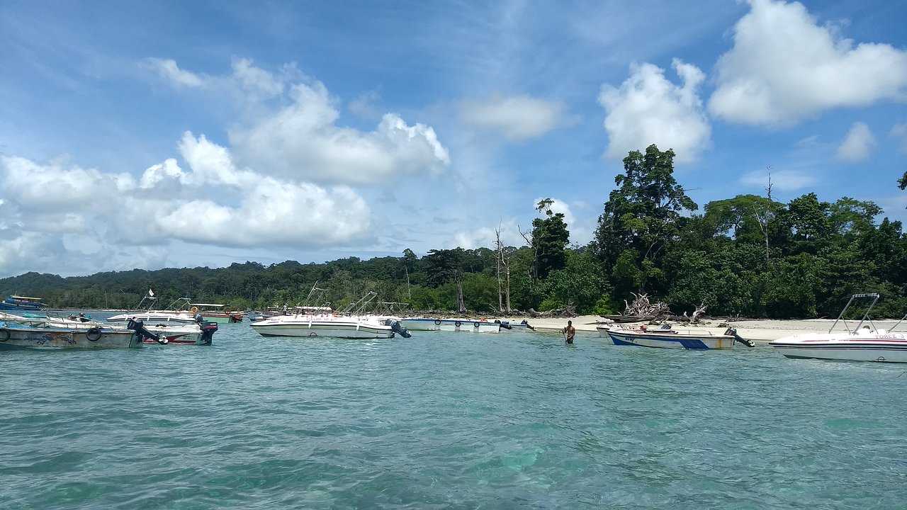 Elephant Beach Photo 2