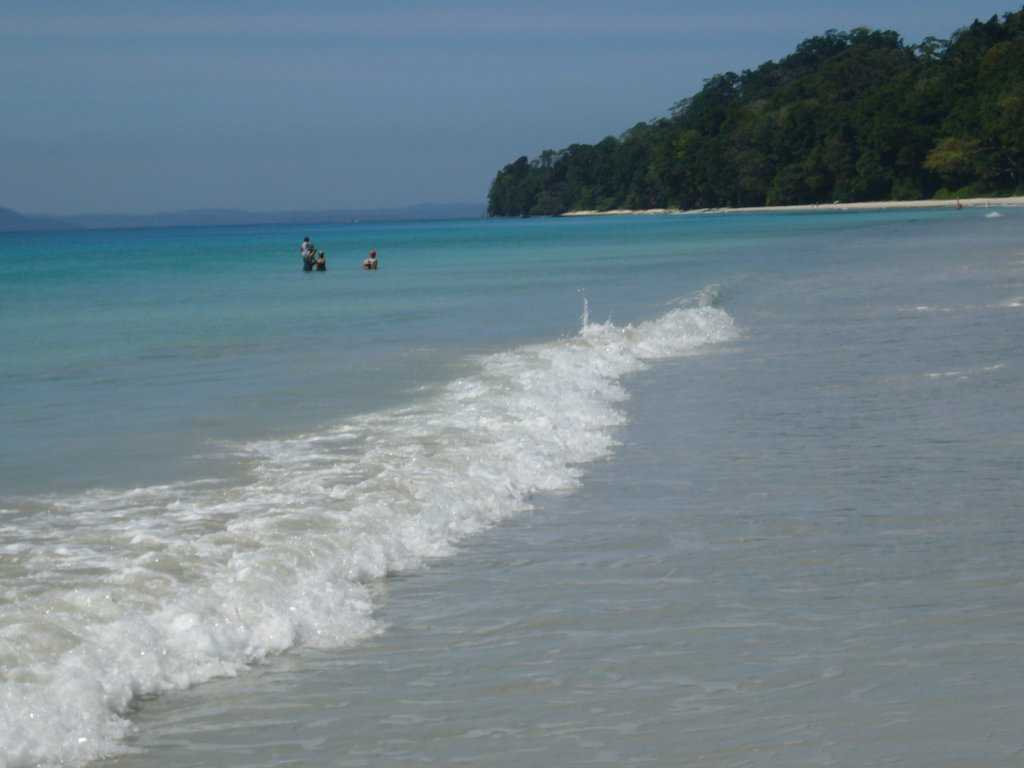 Elephant Beach Photo 1