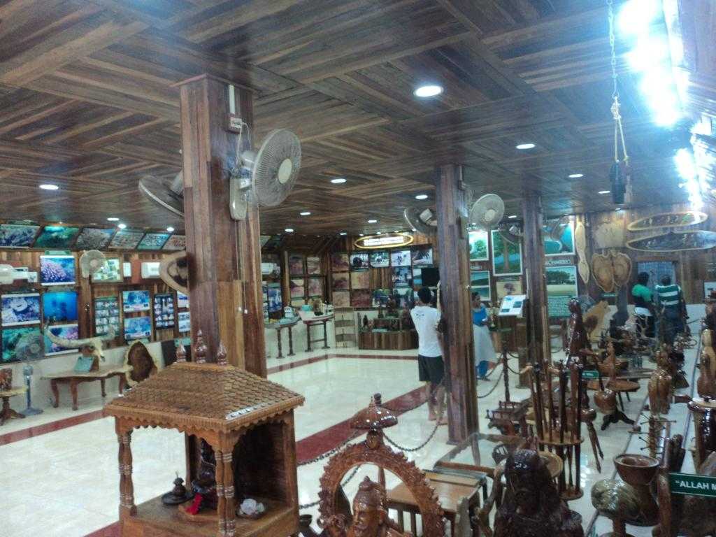Forest Museum Photo 1