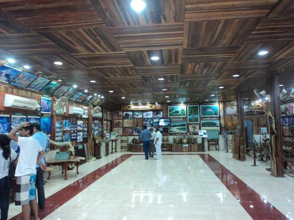 Forest Museum Photo 3