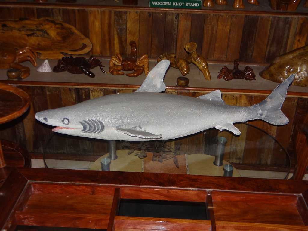 Forest Museum Photo 2