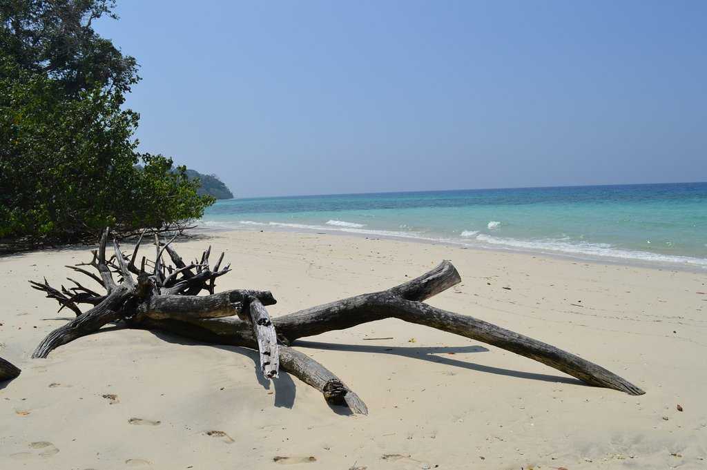 Inglis Island Photo 1