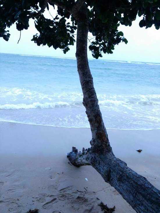 Khurmadera Beach Photo 2