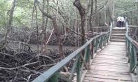 Limestone Caves Photo