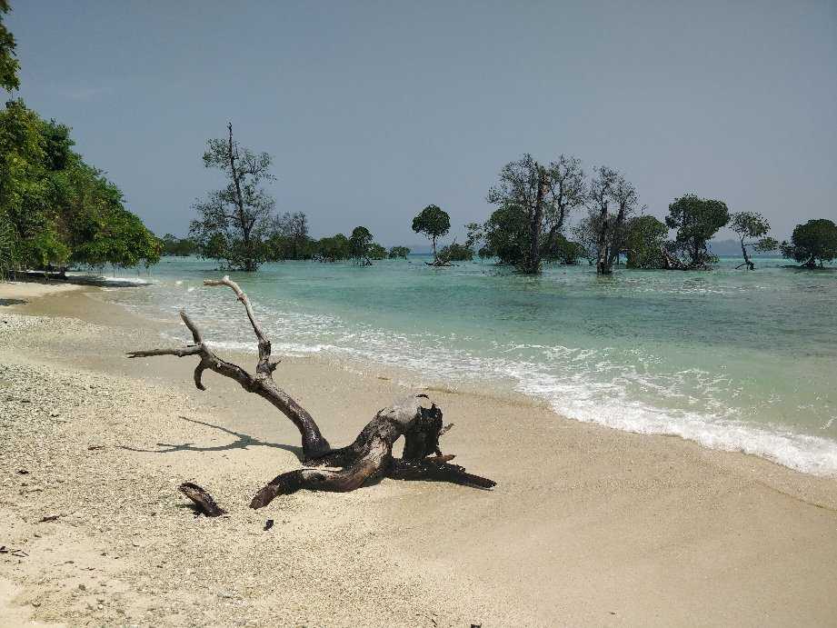 Neil Island Jetty Photo 3