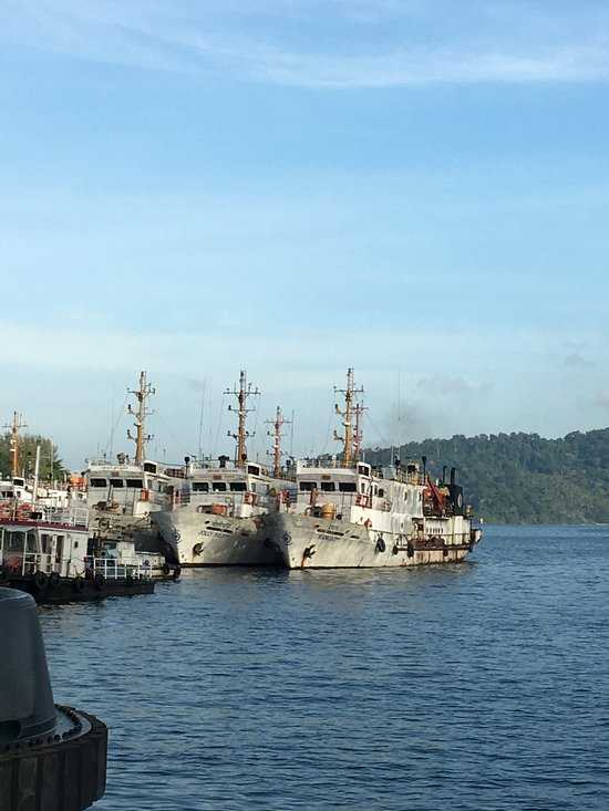 Phoenix Bay Jetty Photo 3