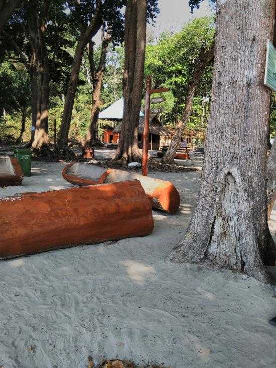 Radhanagar Beach Photo 2