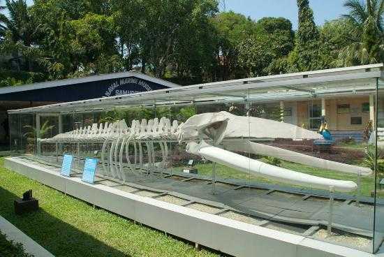 Samudrika Marine Museum Photo 1