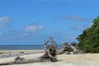 Wandoor Beach Photo 4