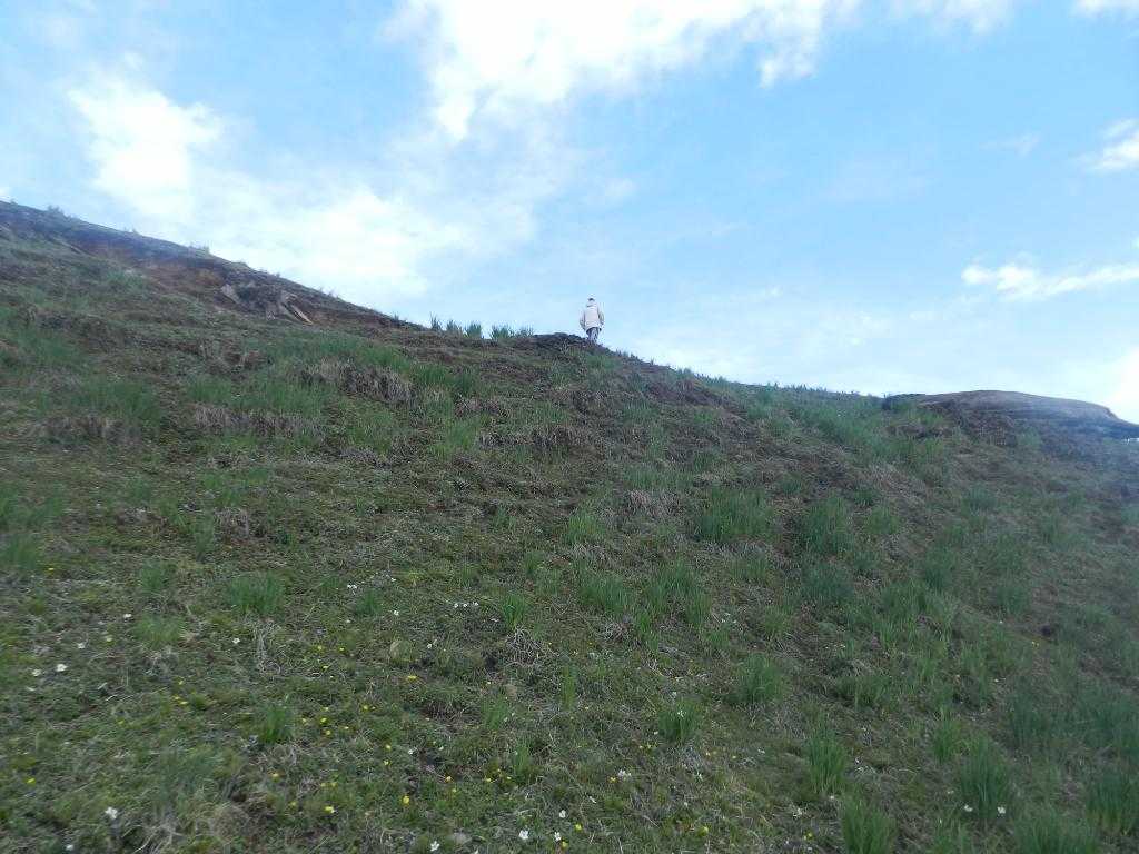 Gurso Bugyal Photo 1
