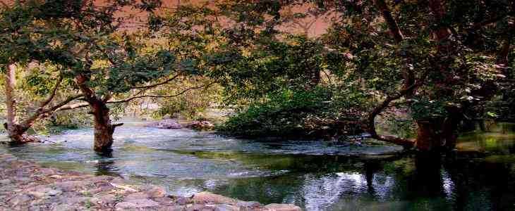 Bassi Wildlife Sanctuary Photo 2