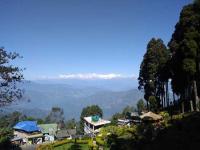 Lamahatta Photo 2