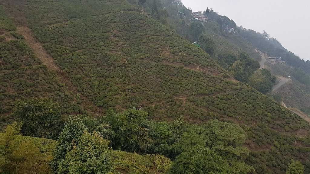 Passenger Ropeway Photo 2