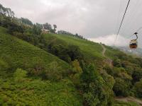 Passenger Ropeway Photo 3