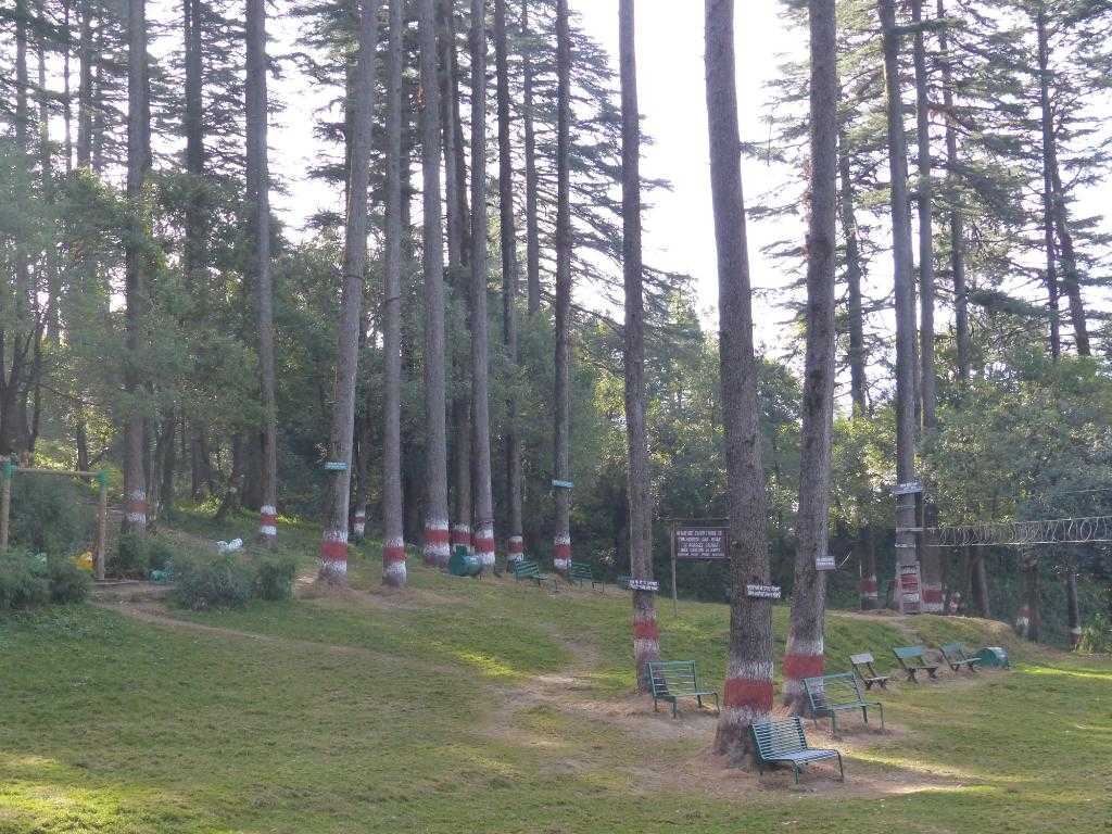 Dhanaulti Adventure Park Photo 1