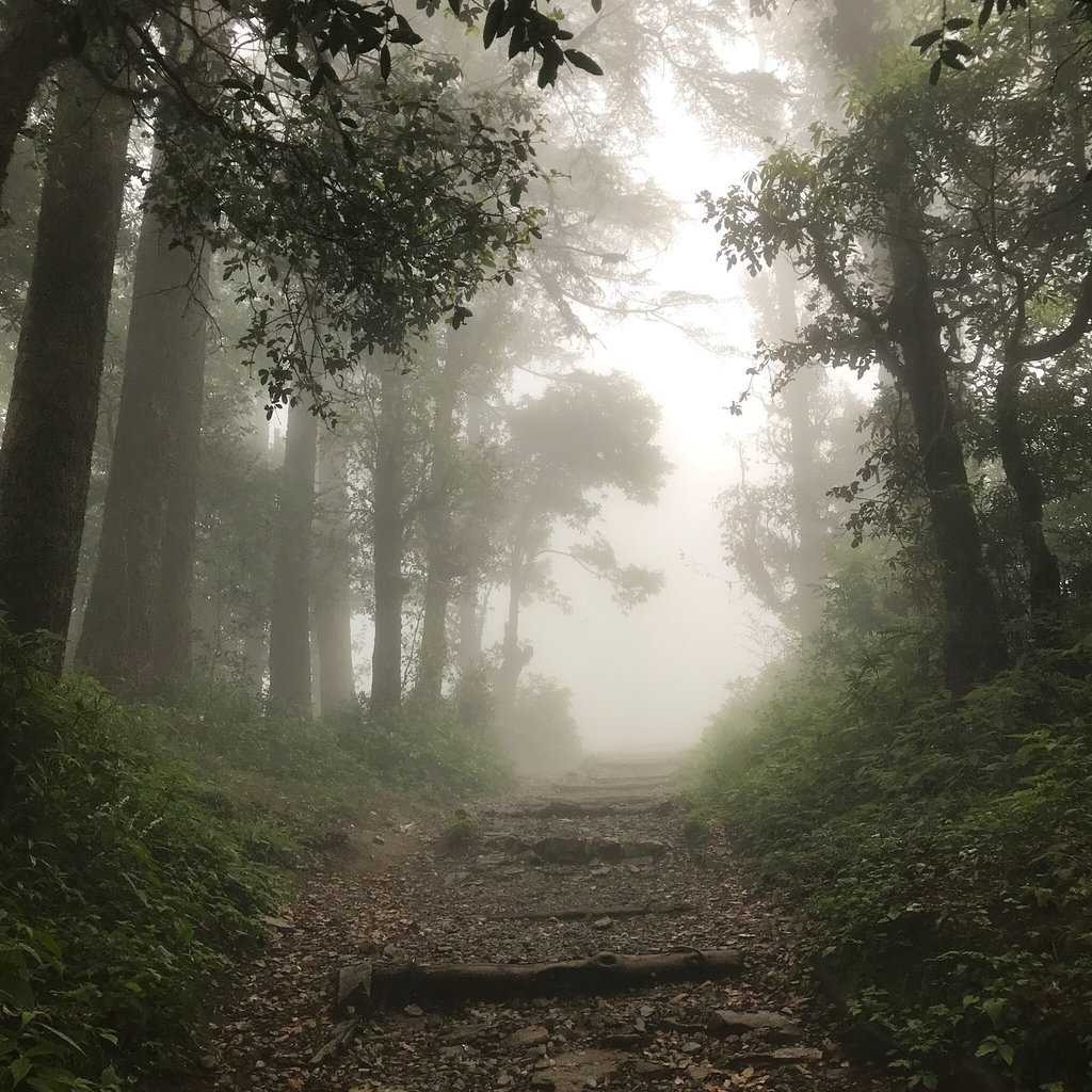 Dhanaulti Adventure Park Photo 2