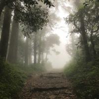 Dhanaulti Adventure Park Photo 2