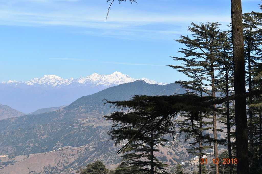 Eco Park Dhanaulti Photo 5