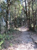 Eco Park Dhanaulti Photo