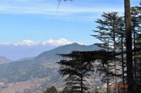 Eco Park Dhanaulti Photo 5