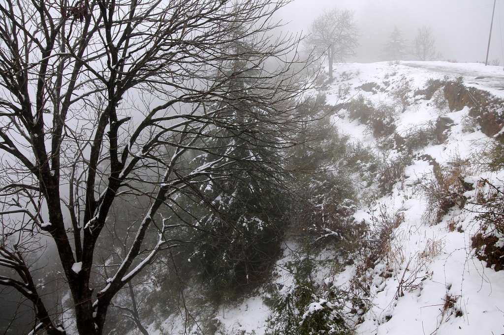 Lal Tibba Mussoorie Photo 4