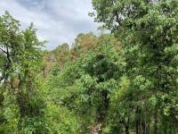 Naddi View Point Photo 2