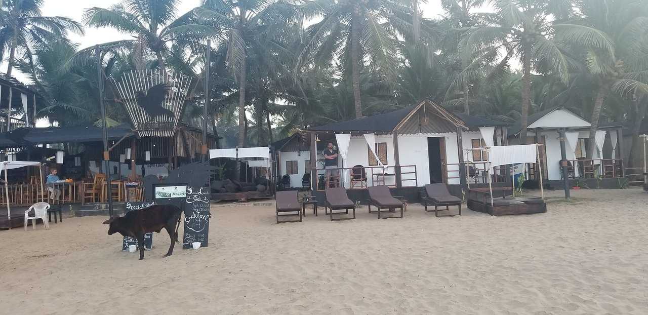 Agonda Beach Photo 3