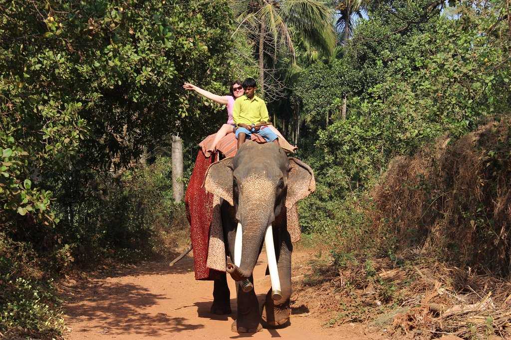 Bhagwan Mahavir Wildlife Sanctuary Photo 4