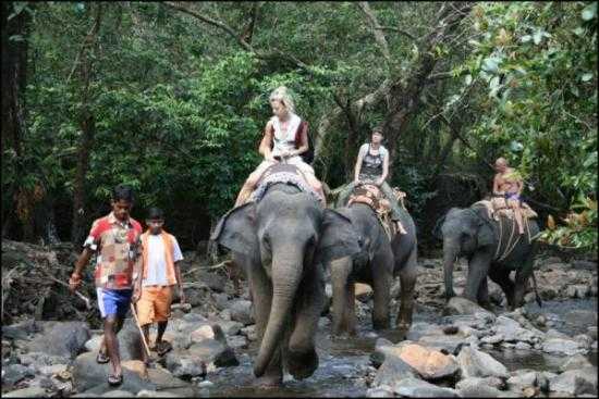 Bhagwan Mahavir Wildlife Sanctuary Photo 1