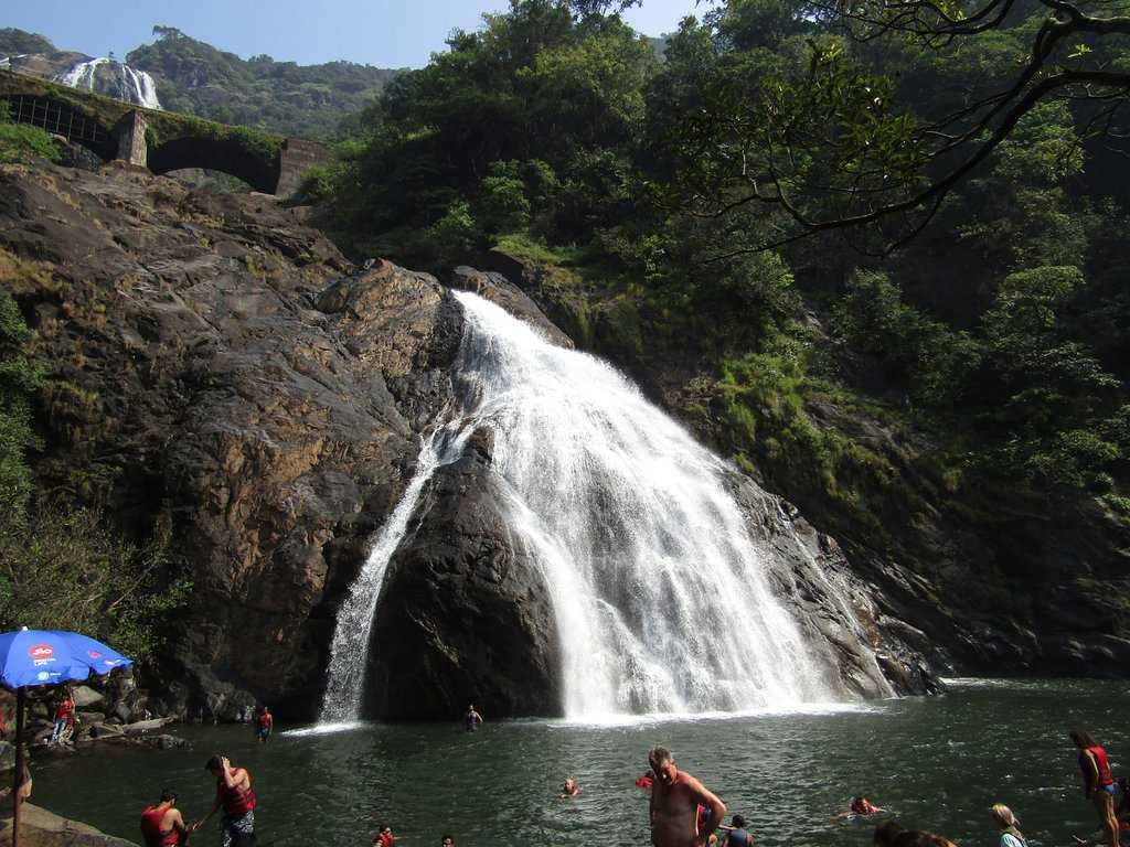Bhagwan Mahavir Wildlife Sanctuary Photo 2