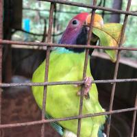 Bondla Wildlife Sanctuary Photo 1