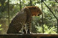 Bondla Wildlife Sanctuary Photo