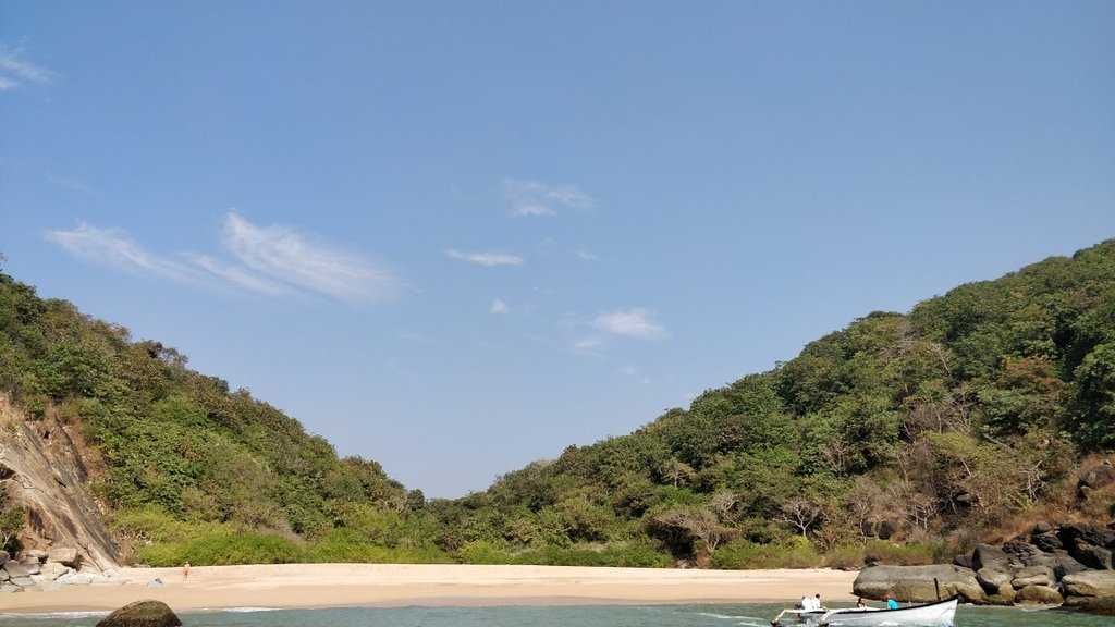 Butterfly Beach Photo 1