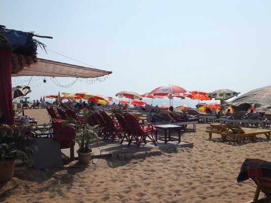 Candolim Beach Photo 3
