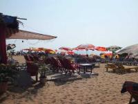 Candolim Beach Photo 3