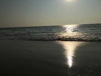 Mandrem Beach Photo 2