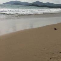 Rajbagh Beach Photo 3