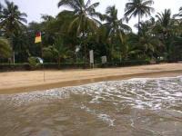 Vainguinim Beach Photo 3