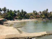 Vainguinim Beach Photo