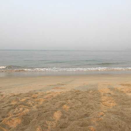 Velsao Beach Photo 1