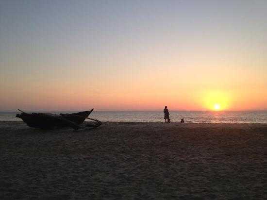 Velsao Beach Photo 4